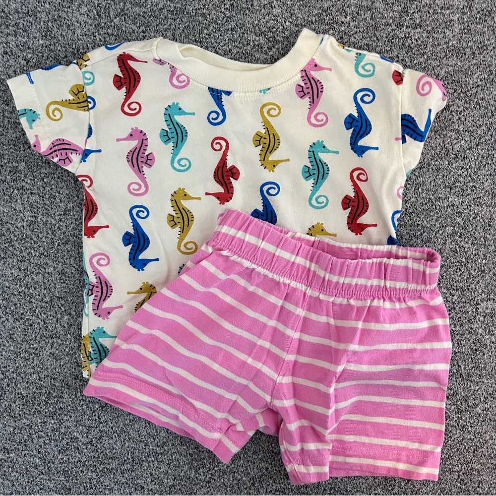 Hanna Andersson T and Short Set